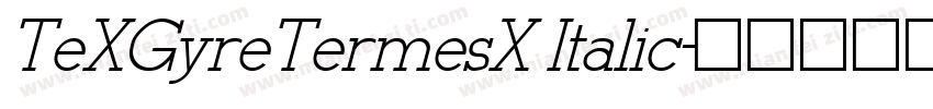 TeXGyreTermesX Italic字体转换